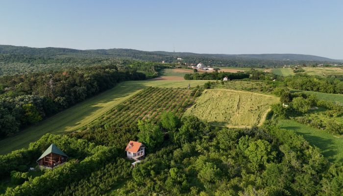 Dron Nekretnine - Novi Sad